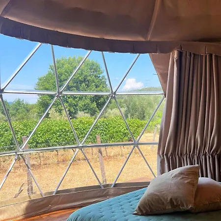Le Stelle Di Elisa - Wine & Truffle Glamping