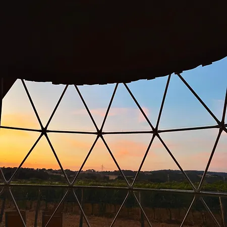 Le Stelle Di Elisa - Wine & Truffle Glamping Lüks kamp alanı