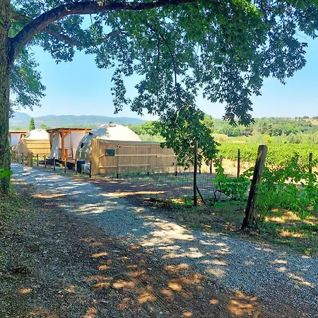 Lüks kamp alanı Le Stelle Di Elisa - Wine & Truffle Glamping *