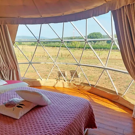 Le Stelle Di Elisa - Wine & Truffle Glamping *