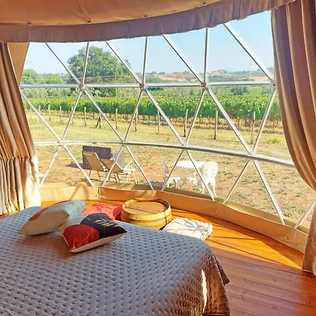 Le Stelle Di Elisa - Wine & Truffle Glamping Lüks kamp alanı *
